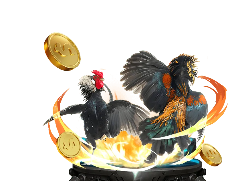 Tổng quan các chương trình khuyến mãi bl5555