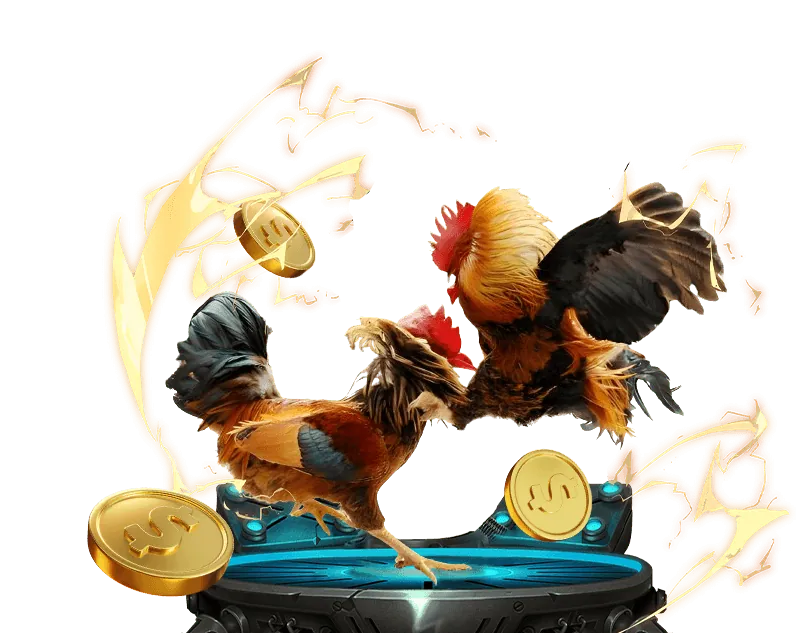 Ưu điểm nổi bật BL5555